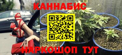 Альфа ПВП Пенза