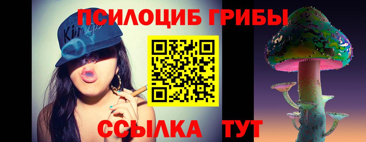 Соль-Илецк  Псилоцибиновые грибы GOLDEN TEACHER  Вход с VPN 